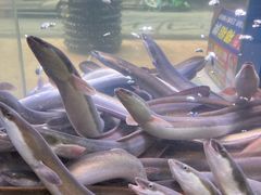滋补炭烤鳗鱼-本炙炭烤·蒲烧活鳗料理店(金沙洲店)