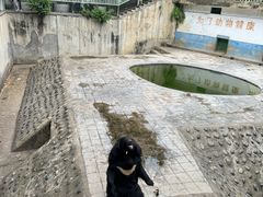 -攀枝花公园