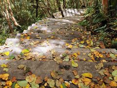 -白草畔自然风景区