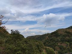 -伏羲山旅游区