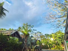 -三亚珠江南田温泉度假区