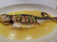 野生黄花鱼-味茂·老船夫1927(东海东路店)