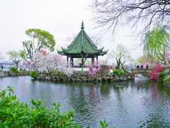 -无锡蠡湖国家湿地公园-蠡园