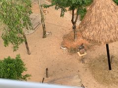 -广州长隆野生动物世界