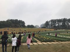 -保利石象湖景区
