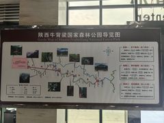 -牛背梁国家森林公园