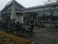 景点-田园东方蜜桃村的田野营地