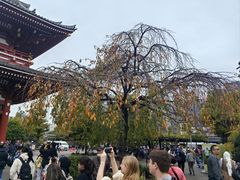 -浅草寺