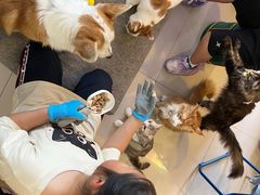 -平行世界·猫咖(首经贸店)