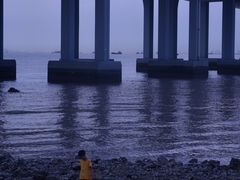 -宝安西湾红树林湿地公园