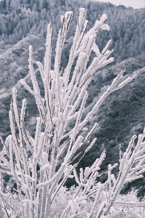 南岳衡山风景名胜区图片