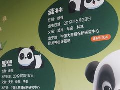 -武汉动物园