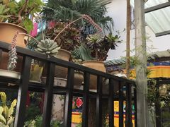 -尼玛藏家风味园(阿山食城店)