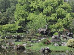 -杭州植物园