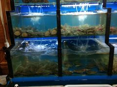 水产区-老东镇啤酒屋海鲜加工·蒸汽海鲜·海鲜烧烤(台东店)