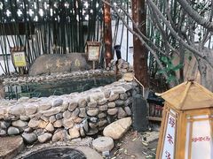 -观唐（国际）度假村温泉