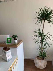 -美肌工坊皮肤管理