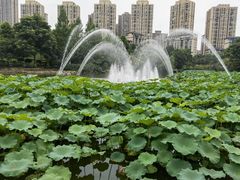 -龙头寺公园