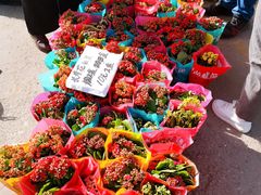 -中环花鸟鱼虫市场