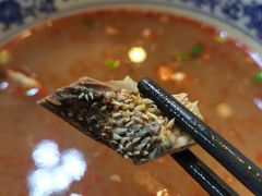 -泉儿头杂碎·清真(城东总店)