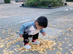 -百林公园-两江幸福广场