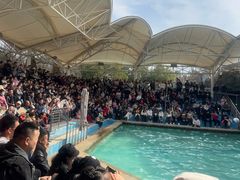 -合肥野生动物园