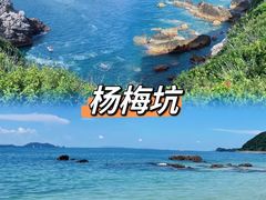 -杨梅坑