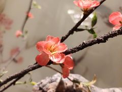 -南堂馆·新川菜(天府三街店)
