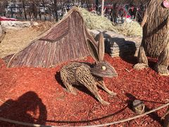 -北京西山国家森林公园