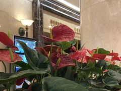 -逸派咖啡 EPARKCOFFEE(广安门店)