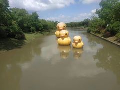 -上海海湾国家森林公园