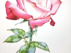 -八哥美术·成人美术画室(总校区)