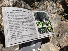-抚仙湖禄充风景区
