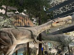 -湖南省地质博物馆