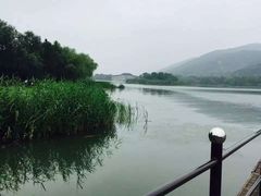 -长广溪湿地公园