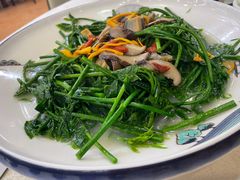 -绿雅居原生态农庄(小涌店)