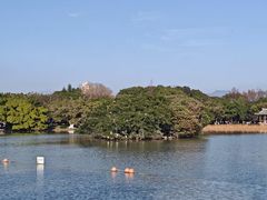 -江心屿景区
