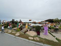 -荷兰花海