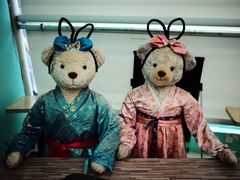 -成都泰迪熊博物馆