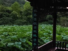 -龙头寺公园