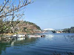 -广州市流溪河国家森林公园