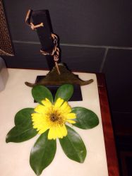 悦椿Spa(花园酒店)-悦椿SPA