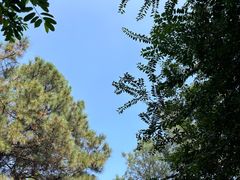 -敬亭山风景名胜区