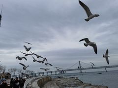 -星海广场