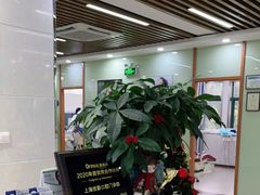 -茂菊口腔连锁(浦东南路店)