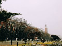 -东北师范大学(净月大街校区)