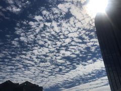 -万达影城(保定万博广场激光IMAX店)