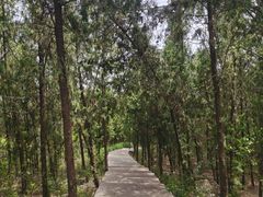 -云龙湖旅游景区