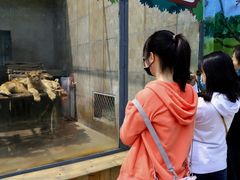 -西安秦岭野生动物园