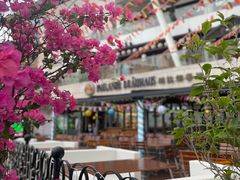 -Paulaner·德国帕拉娜自酿啤酒餐厅(海上世界店)